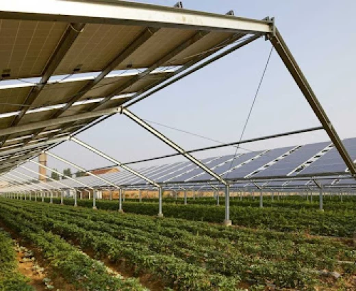 Δικαστήριο παγώνει φωτοβολταϊκό 3,7 MW στη Λευκωσία — Βλέπει κίνδυνο ανεπανόρθωτης περιβαλλοντικής ζημιάς
